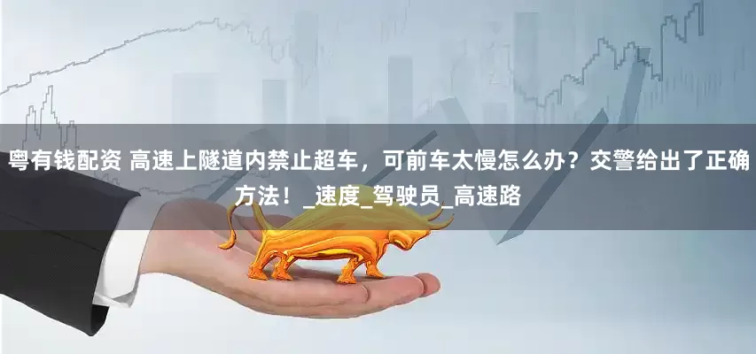 粤有钱配资 高速上隧道内禁止超车，可前车太慢怎么办？交警给出了正确方法！_速度_驾驶员_高速路