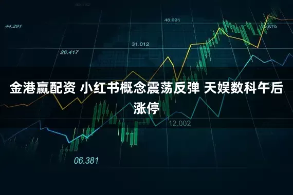 金港赢配资 小红书概念震荡反弹 天娱数科午后涨停