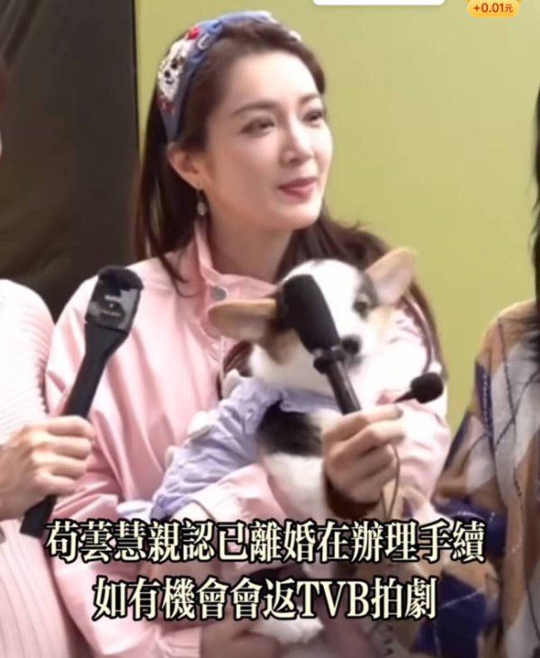 股配咖吧 苟芸慧回应单身问题 已办完离婚表示现在很自由