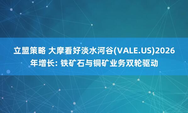 立盟策略 大摩看好淡水河谷(VALE.US)2026年增长: 铁矿石与铜矿业务双轮驱动