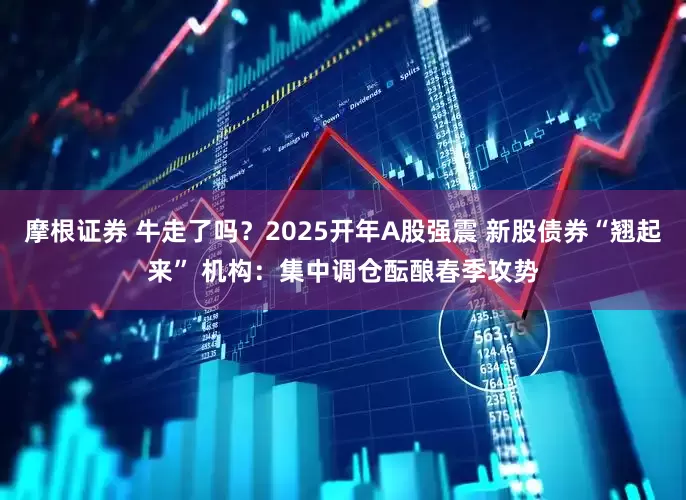 摩根证券 牛走了吗？2025开年A股强震 新股债券“翘起来” 机构：集中调仓酝酿春季攻势