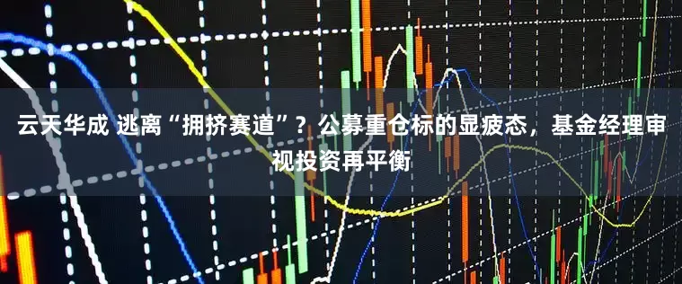 云天华成 逃离“拥挤赛道”？公募重仓标的显疲态，基金经理审视投资再平衡